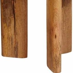 vidaXL Mesas de Café Nido 2 pcs Marrón Madera de mango maciza Online