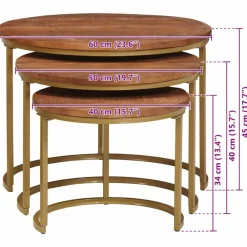 vidaXL Mesas-Mesas de Café Nido 3 pcs Madera maciza de mango y acero