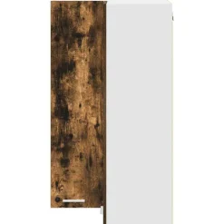 vidaXL Armarios Y Almacenamiento-Mueble colgante con puerta y 57 x 57 x 100 cm