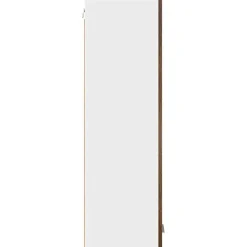 vidaXL Armarios Y Almacenamiento-Mueble colgante con puerta 30 x 31 x 100 cm