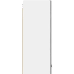 vidaXL Armarios Y Almacenamiento-Mueble colgante con puerta y 40 x 31 x 80 cm