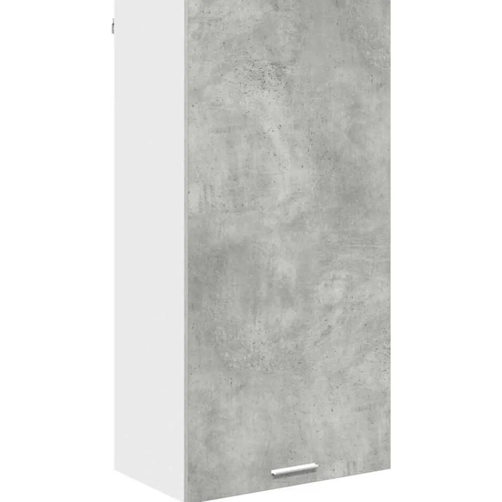 vidaXL Armarios Y Almacenamiento-Mueble colgante con puerta y 50 x 31 x 100 cm