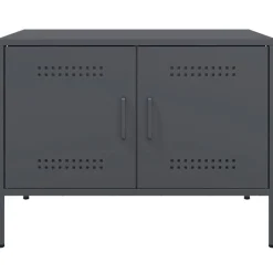 vidaXL Mueble de TV acero gris 68x39x50,5 cm Antracita Outlet