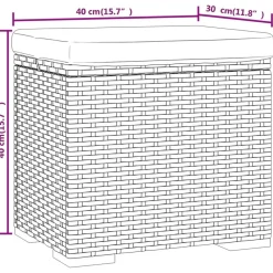 vidaXL Otomanas-Otomana con cojines 2 uds 40x30x40 cm ratán sintético