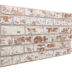 vidaXL Materiales De Construcción-Paneles de pared 10 pcs 100 x 50 cm Espuma EPS