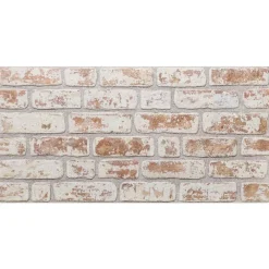 vidaXL Materiales De Construcción-Paneles de pared 10 pcs 100 x 50 cm Espuma EPS