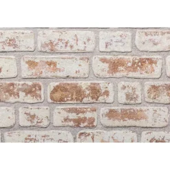 vidaXL Materiales De Construcción-Paneles de pared 10 pcs 100 x 50 cm Espuma EPS
