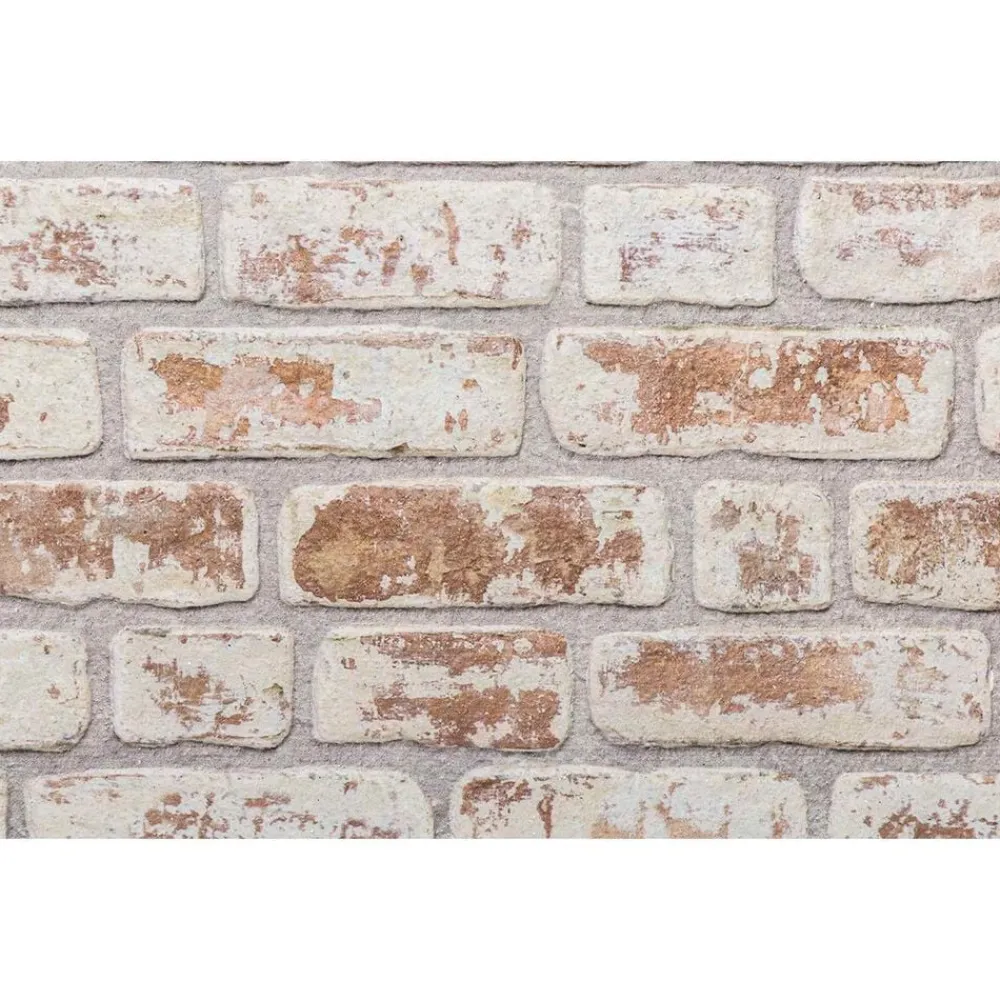 vidaXL Materiales De Construcción-Paneles de pared 10 pcs 100 x 50 cm Espuma EPS