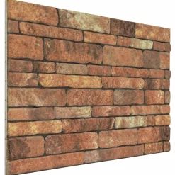 vidaXL Paneles de pared 10 pcs Marrón y 100 x 50 cm Espuma EPS Marr&oacute;n y New