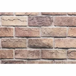 vidaXL Paneles de pared 10 pcs Marrón y gris 100 x 50 cm Espuma EPS Marrón y gris Sale