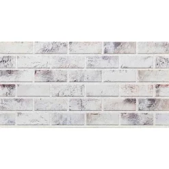 vidaXL Materiales De Construcción-Paneles de pared 10 pcs 100 x 50 cm