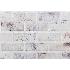 vidaXL Materiales De Construcción-Paneles de pared 10 pcs 100 x 50 cm