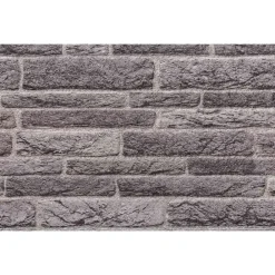 vidaXL Paneles de pared 10 pcs 100 x 50 cm Espuma EPS Gris antracita Clearance