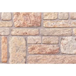 vidaXL Materiales De Construcción-Paneles de pared 10 pcs Marrón claro y 100 x 50 cm Espuma EPS