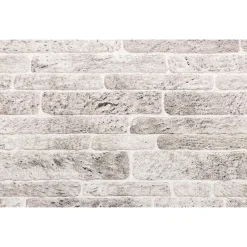 vidaXL Materiales De Construcción-Paneles de pared 10 pcs . 100 x 50 cm Espuma EPS