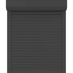 vidaXL Persiana enrollable Manual 70 x 100 cm Antracita New