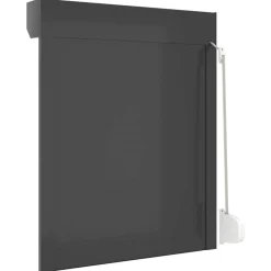 vidaXL Persiana enrollable Manual 70 x 100 cm Antracita New