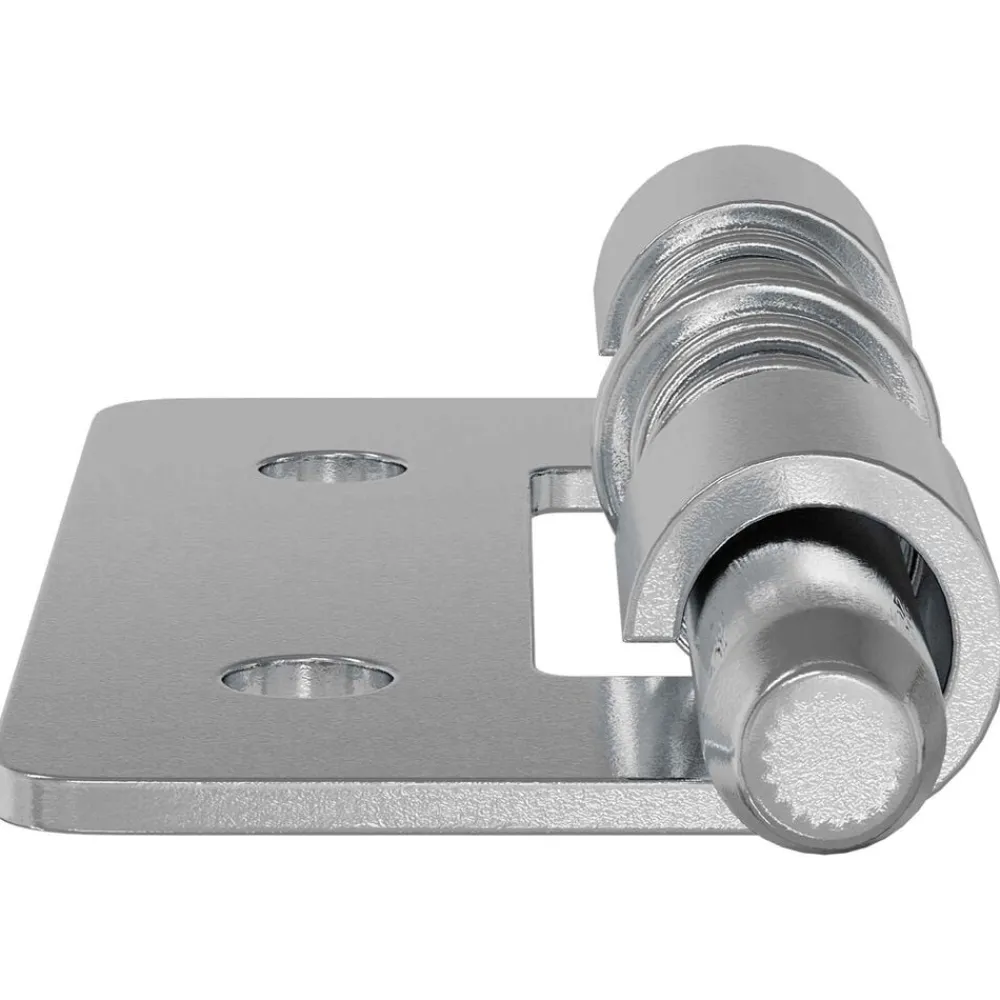 vidaXL Accesorios De Bricolaje-Pestillo 2 pcs Plateado 46 x 17 x 1,2 mm Acero