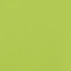 vidaXL Remolque para bicicleta hierro negro y 30 kg Verde Hot