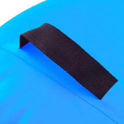 vidaXL Rollo hinchable de gimnasia con bomba PVC 100x60 cm Azul Best