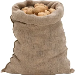 vidaXL Maletas Y Bolsos De Viaje-Sacos de yute 5 uds 60x105 cm 100% yute 220 g/m²