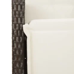 vidaXL Muebles De Jardín-Set de mesa y sillas de jardín 11 pzs y cojines ratán PE marrón