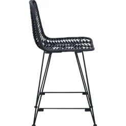 vidaXL Silla de Bar 2 pcs 44,5 x 54,5 x 97,5 cm Ratan e Hierro Negro Online