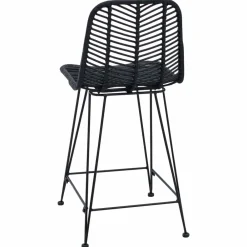 vidaXL Silla de Bar 2 pcs 44,5 x 54,5 x 97,5 cm Ratan e Hierro Negro Online