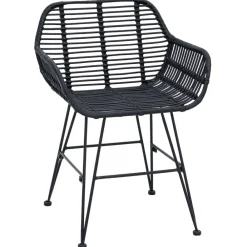 vidaXL Silla de comedor 2 pcs 55 x 50 x 74 cm Ratan e Hierro Negro Sale