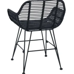 vidaXL Silla de comedor 2 pcs 55 x 50 x 74 cm Ratan e Hierro Negro Sale