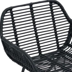 vidaXL Silla de comedor 2 pcs 55 x 50 x 74 cm Ratan e Hierro Negro Sale