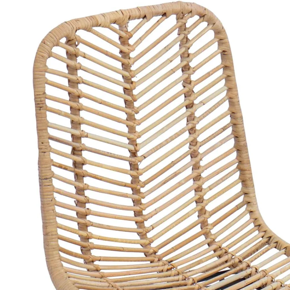 vidaXL Silla de comedor 2 pcs 44 x 47 x 85 cm Ratan e Hierro Natural Sale
