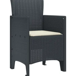 vidaXL Silla de Jardín 2 pcs Antracita 53 x 49 x 85 cm Polipropileno New