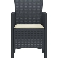 vidaXL Silla de Jardín 2 pcs Antracita 53 x 49 x 85 cm Polipropileno New