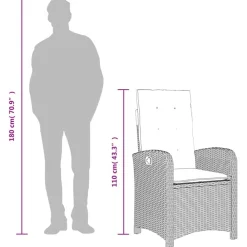vidaXL Muebles De Jardín-Silla de jardín reclinable con cojines ratán sintético