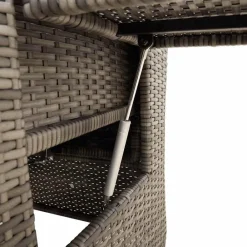 vidaXL Muebles De Jardín-Silla de jardín reclinable con mesa auxiliar ratán