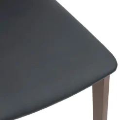 vidaXL Sillas de comedor con cojines 2 uds madera maciza marrón caucho Marrón y negro Best