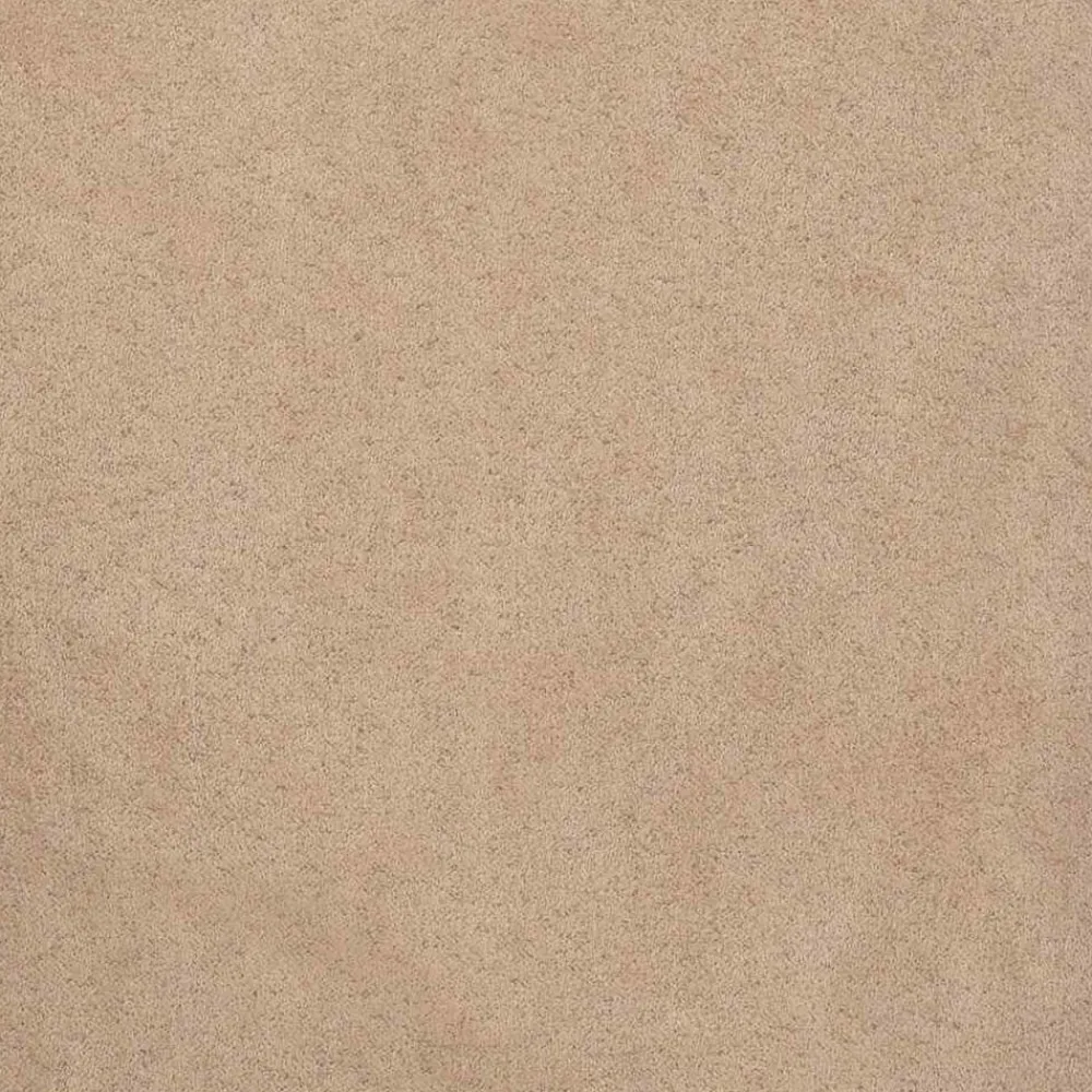 vidaXL Sillas de comedor con cojines 2uds madera maciza blanco caucho Blanco y marrón Best