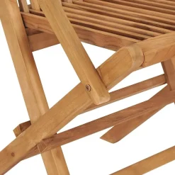 vidaXL Muebles De Jardín-Sillas de jardín plegables 2 unidades madera maciza de teca