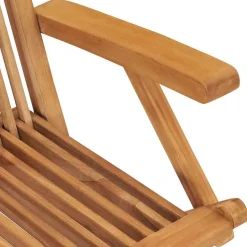 vidaXL Muebles De Jardín-Sillas de jardín plegables 2 unidades madera maciza de teca