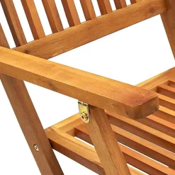 vidaXL Sillas de jardín plegables 2 unidades madera maciza de acacia Marrón