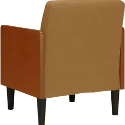 vidaXL Sillón con reposabrazos de terciopelo marrón 55 cm Marr&oacute;n