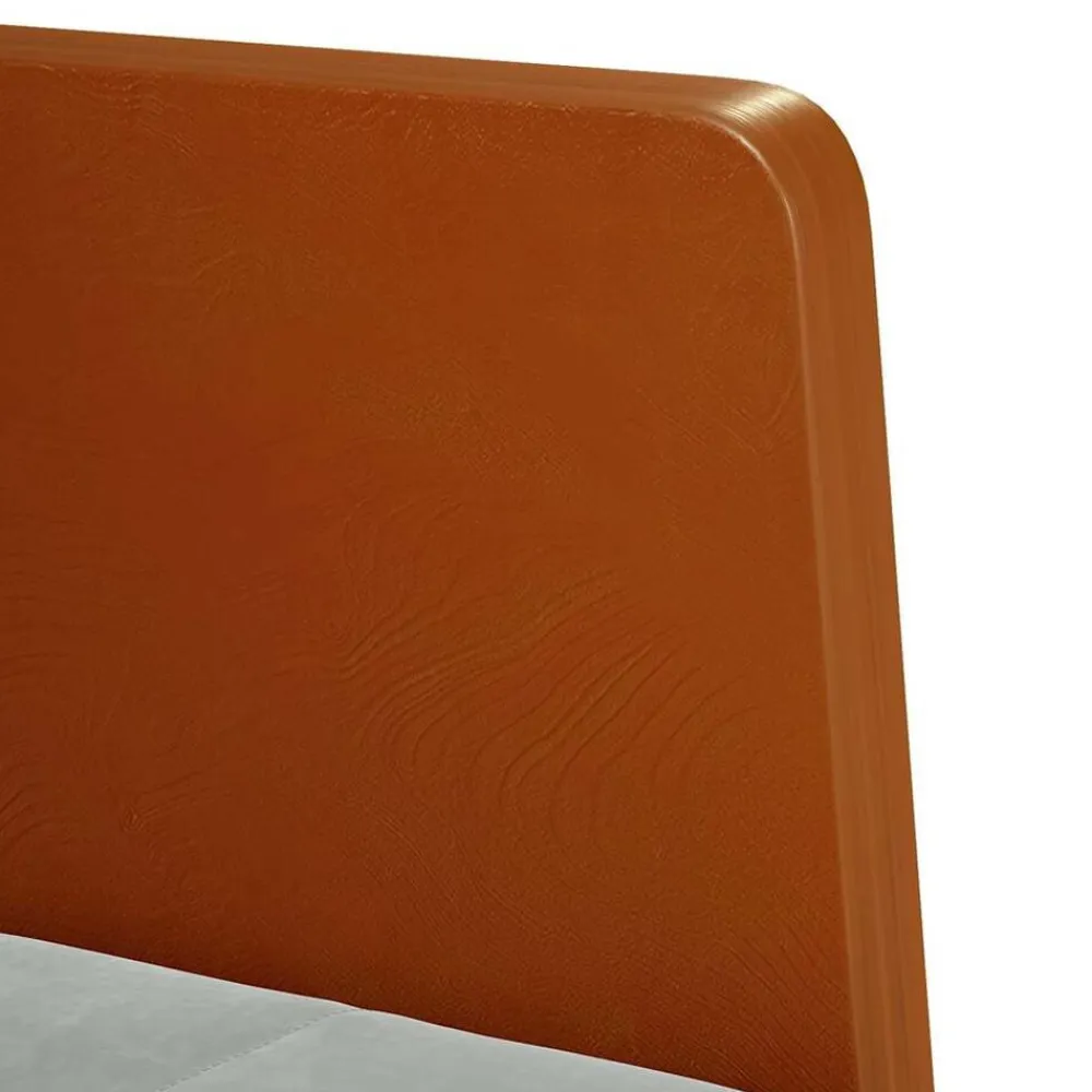 vidaXL Sillas-Sillón con reposabrazos Terciopelo 55 cm