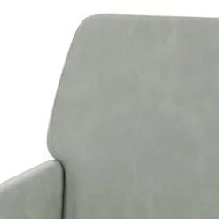 vidaXL Sillón de terciopelo 62x79x79 cm Gris claro