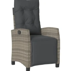 vidaXL Sillón reclinable de jardín con reposapiés ratán sintético Gris Outlet