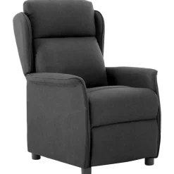 vidaXL Sillón reclinable 66.5 x 94 x 101.5 cm Poliéster Gris oscuro Outlet