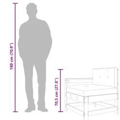 vidaXL Muebles De Jardín-Sillones de jardín con cojines 2 uds madera maciza de pino