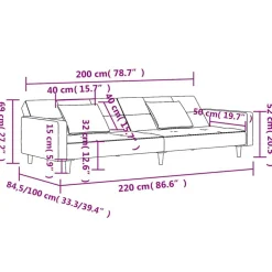 vidaXL Sofás-Sofá cama de 2 plazas con dos almohadas terciopelo