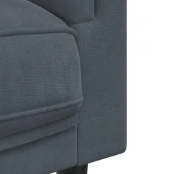 vidaXL Sofás-Sofá con cojines 2 plazas terciopelo