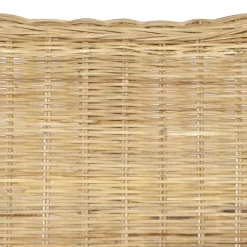 vidaXL Sofás-Sofá de 2 plazas de ratán natural y lino